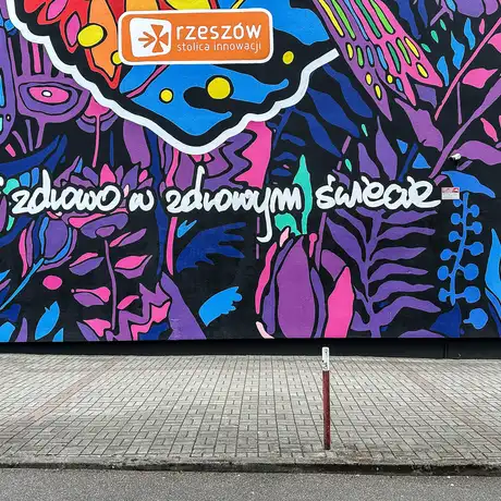Rzeszów - Nowy mural przy ul. Dąbrowskiego 25 w Rzeszowie - fot 6