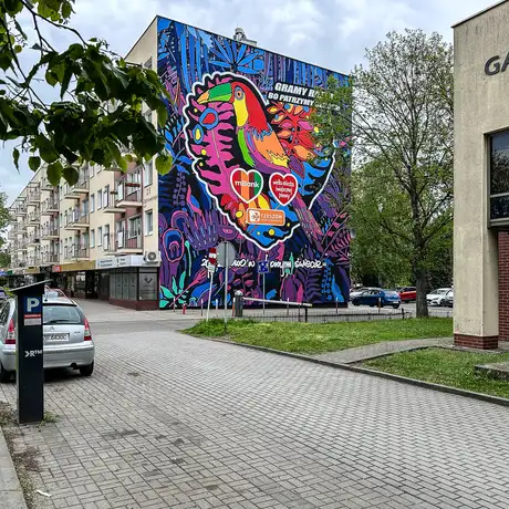 Rzeszów - Nowy mural przy ul. Dąbrowskiego 25 w Rzeszowie - fot 1
