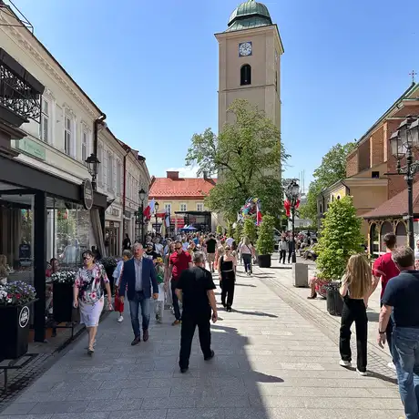 Rzeszów - Święto Paniagi 2025 - fot 13