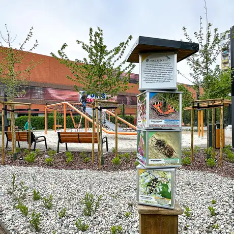 Rzeszów - Nowy ogród kieszonkowy na osiedlu Nowe Miasto - fot 6