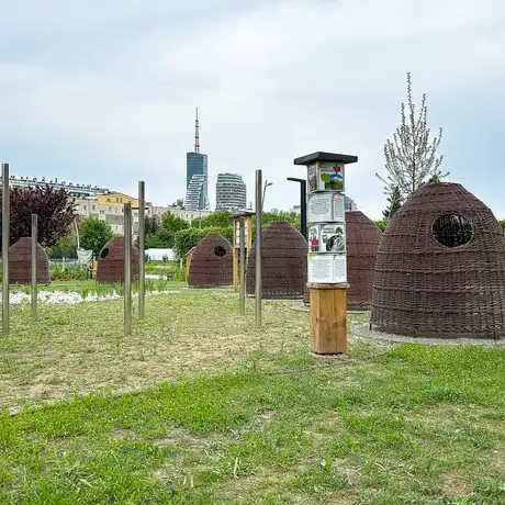 Rzeszów - Nowy ogród kieszonkowy na osiedlu Nowe Miasto - fot 21