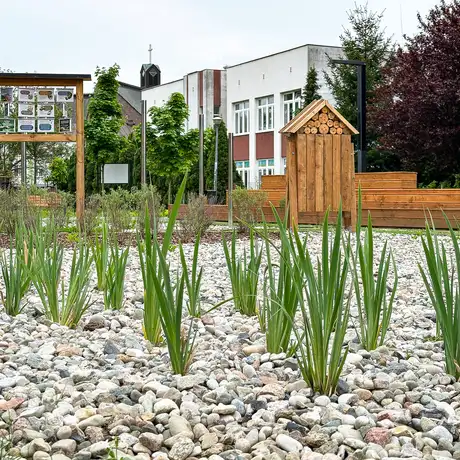 Rzeszów - Nowy ogród kieszonkowy na osiedlu Nowe Miasto - fot 31