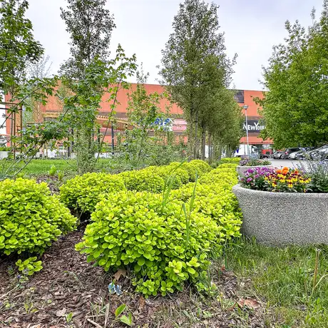 Rzeszów - Nowy ogród kieszonkowy na osiedlu Nowe Miasto - fot 43