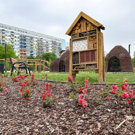 Rzeszów - Nowy ogród kieszonkowy na osiedlu Nowe Miasto - fot 51