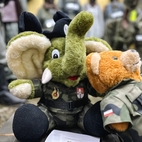 Rzeszów - Noc Muzeów 2025: Muzeum Techniki i Militariów, PSSK i PLK - fot 41