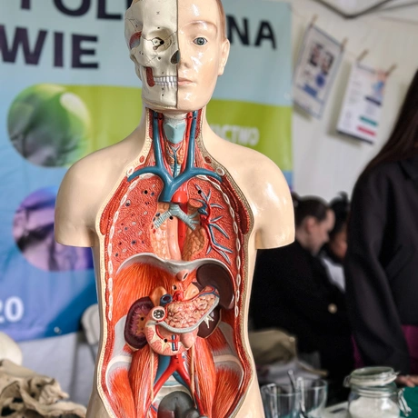 Rzeszów - Piknik Nauki Eksploracje 2025: Sobota Pełna Wrażeń - fot 38
