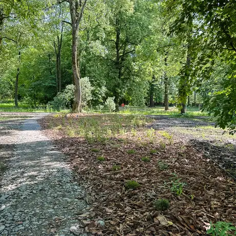 Rzeszów - Rewitalizacja parku na osiedlu Słocina [maj 2025] - fot 4
