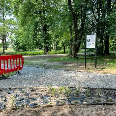 Rzeszów - Rewitalizacja parku na osiedlu Słocina [maj 2025] - fot 29
