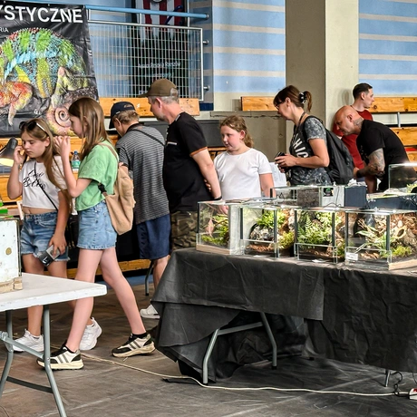 Rzeszów - Exoticarium – wystawa egzotycznych zwierząt w hali Podpromie [8.06.2025] - fot 69