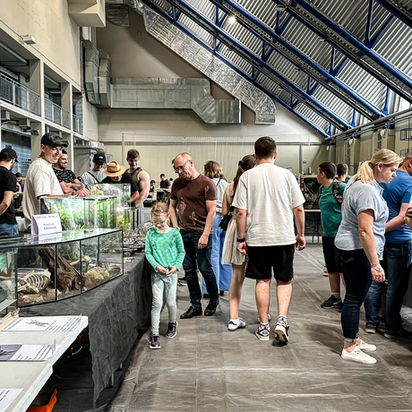 Rzeszów - Exoticarium – wystawa egzotycznych zwierząt w hali Podpromie [8.06.2025] - fot 67