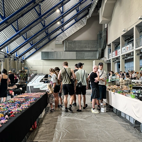 Rzeszów - Exoticarium – wystawa egzotycznych zwierząt w hali Podpromie [8.06.2025] - fot 40