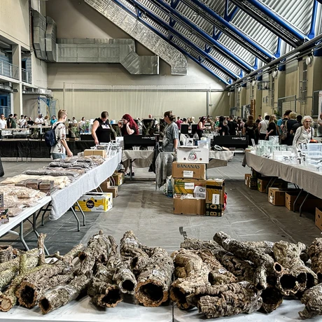 Rzeszów - Exoticarium – wystawa egzotycznych zwierząt w hali Podpromie [8.06.2025] - fot 61