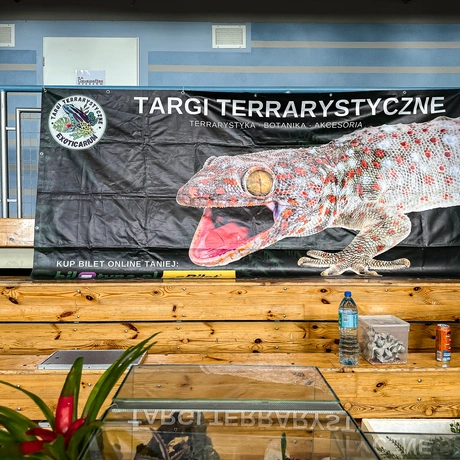 Rzeszów - Exoticarium – wystawa egzotycznych zwierząt w hali Podpromie [8.06.2025] - fot 30