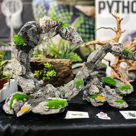 Rzeszów - Exoticarium – wystawa egzotycznych zwierząt w hali Podpromie [8.06.2025] - fot 51