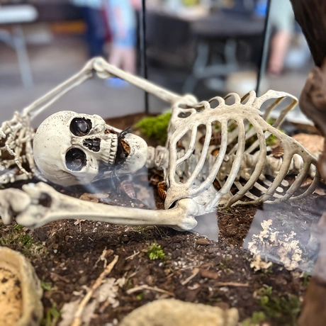Rzeszów - Exoticarium – wystawa egzotycznych zwierząt w hali Podpromie [8.06.2025] - fot 57