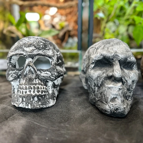 Rzeszów - Exoticarium – wystawa egzotycznych zwierząt w hali Podpromie [8.06.2025] - fot 52