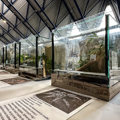 Rzeszów - Exoticarium – wystawa egzotycznych zwierząt w hali Podpromie [8.06.2025] - fot 15