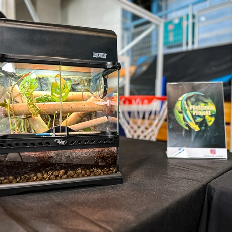 Rzeszów - Exoticarium – wystawa egzotycznych zwierząt w hali Podpromie [8.06.2025] - fot 28