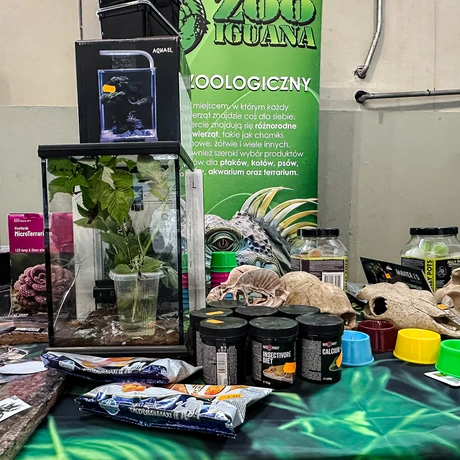 Rzeszów - Exoticarium – wystawa egzotycznych zwierząt w hali Podpromie [8.06.2025] - fot 13