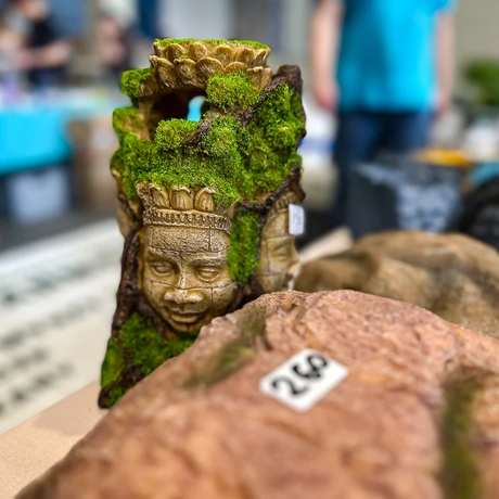 Rzeszów - Exoticarium – wystawa egzotycznych zwierząt w hali Podpromie [8.06.2025] - fot 22