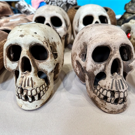 Rzeszów - Exoticarium – wystawa egzotycznych zwierząt w hali Podpromie [8.06.2025] - fot 9