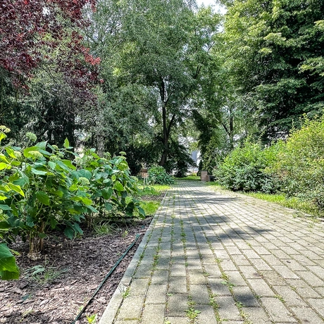 Rzeszów - Wiosna w parku dla seniorów przy ul. Staszica - fot 5