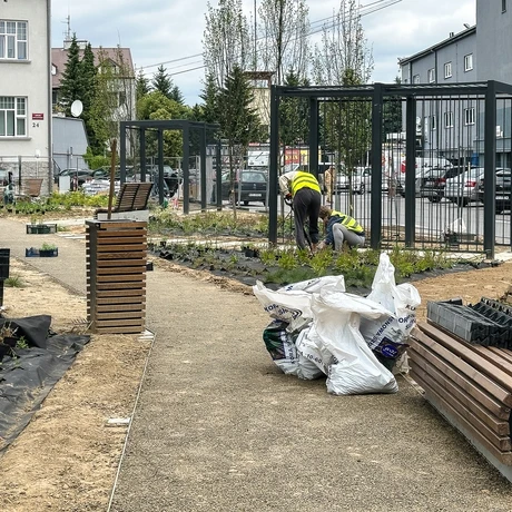 Rzeszów - Budowa ogrodu kieszonkowego w centrum Rzeszowa, przy ul. Jagiellońskiej [czerwiec 2025] - fot 6
