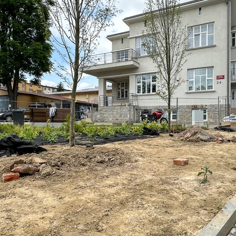 Rzeszów - Budowa ogrodu kieszonkowego w centrum Rzeszowa, przy ul. Jagiellońskiej [czerwiec 2025] - fot 16