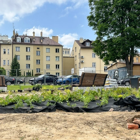 Rzeszów - Budowa ogrodu kieszonkowego w centrum Rzeszowa, przy ul. Jagiellońskiej [czerwiec 2025] - fot 12