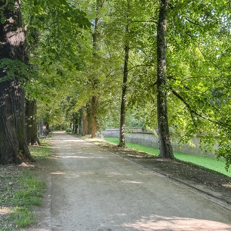 Rzeszów - Spacer po parku łańcuckiego Zamku - fot 32