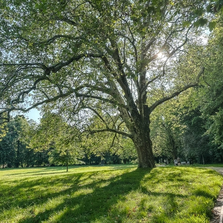 Rzeszów - Spacer po parku łańcuckiego Zamku - fot 33