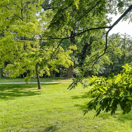 Rzeszów - Spacer po parku łańcuckiego Zamku - fot 2