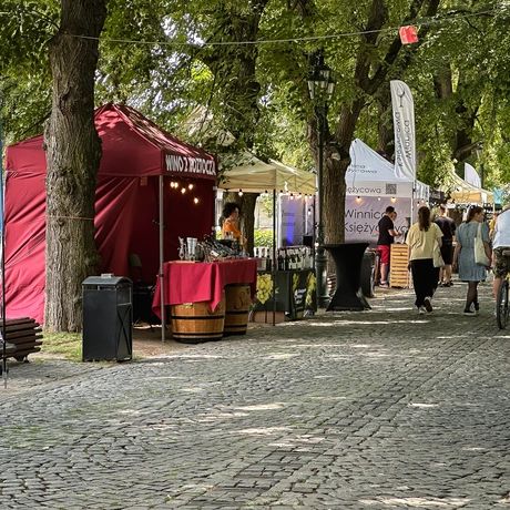 Rzeszów - ESK 2025: Wschód Wina przy al. Lubomirskich - fot 25