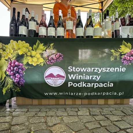 Rzeszów - ESK 2025: Wschód Wina przy al. Lubomirskich - fot 10