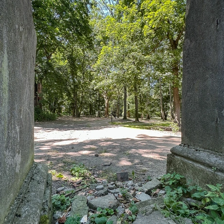 Rzeszów - Lato w zrewitalizowanym parku na osiedlu Słocina [lipiec 2025] - fot 61