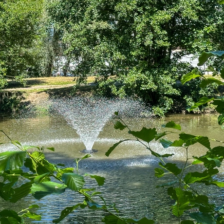 Rzeszów - Lato w zrewitalizowanym parku na osiedlu Słocina [lipiec 2025] - fot 37