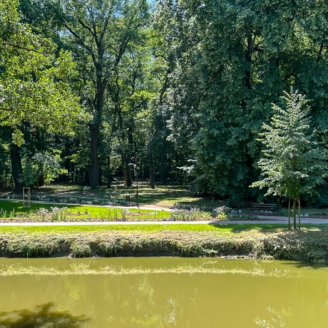 Rzeszów - Lato w zrewitalizowanym parku na osiedlu Słocina [lipiec 2025] - fot 20