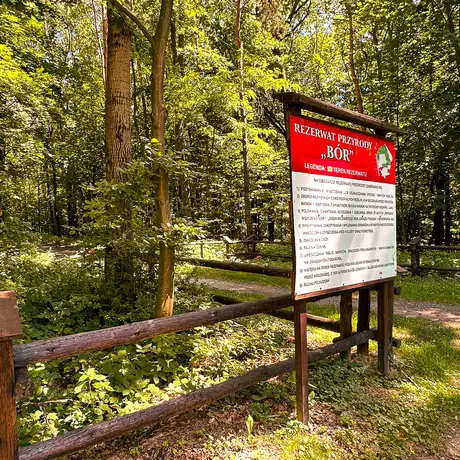 Rzeszów - Rezerwat Przyrody "BÓR" niedaleko Rzeszowa - fot 23