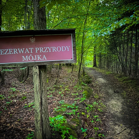 Rzeszów - Rezerwat przyrody "Mójka" - spacer szlakiem Jelenia - fot 5