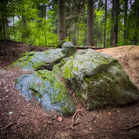 Rzeszów - Rezerwat przyrody "Mójka" - spacer szlakiem Jelenia - fot 2