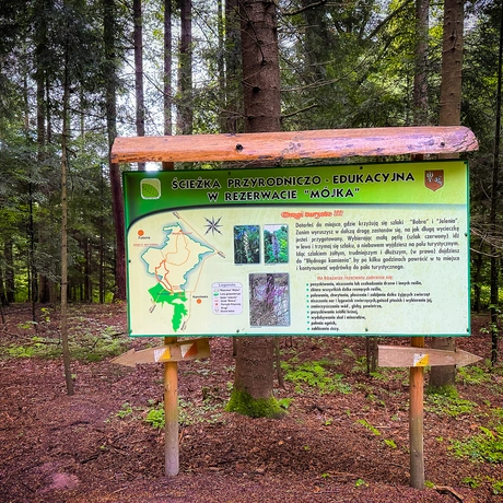 Rzeszów - Rezerwat przyrody "Mójka" - spacer szlakiem Jelenia - fot 23