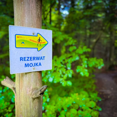Rzeszów - Rezerwat przyrody "Mójka" - spacer szlakiem Jelenia - fot 39