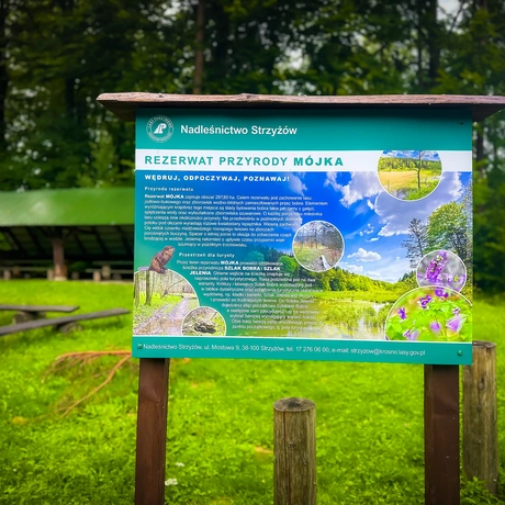 Rzeszów - Rezerwat przyrody "Mójka" - spacer szlakiem Jelenia - fot 47