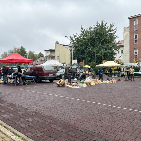 Rzeszów - Wystawa i giełda staroci w III LO przy ul. Szopena [październik 2025] - fot 23