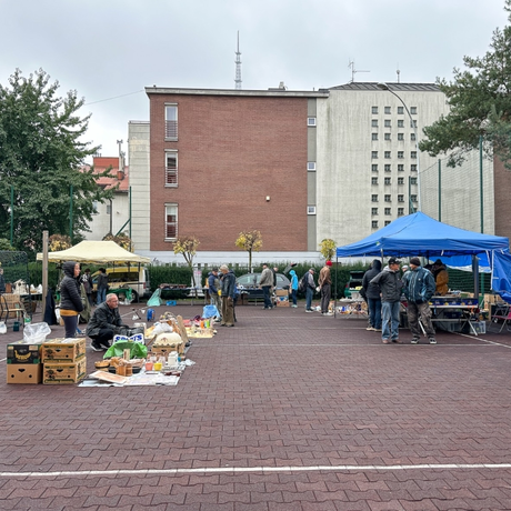 Rzeszów - Wystawa i giełda staroci w III LO przy ul. Szopena [październik 2025] - fot 32