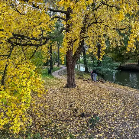 Rzeszów - Jesień w parku im. Władysława Szafera - fot 17