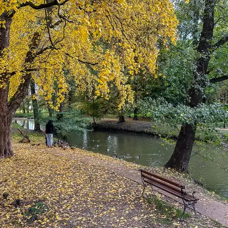Rzeszów - Jesień w parku im. Władysława Szafera - fot 20