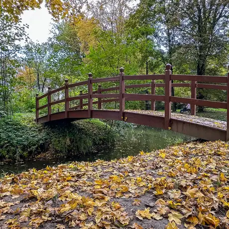 Rzeszów - Jesień w parku im. Władysława Szafera - fot 21