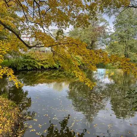 Rzeszów - Jesień w parku im. Władysława Szafera - fot 19
