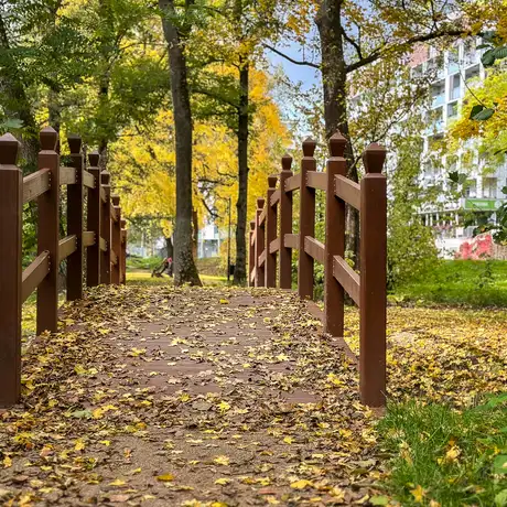 Rzeszów - Jesień w parku im. Władysława Szafera - fot 22